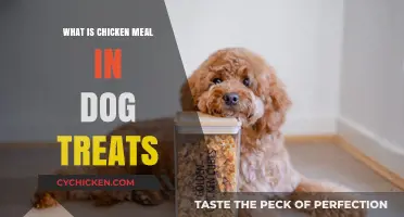 Understanding Chicken Meal in Dog Treats: Benefits and Uses