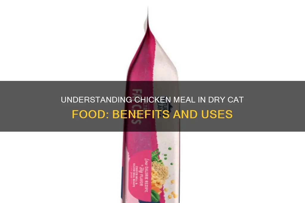 what is chicken meal in dry cat food