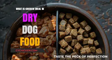 Understanding Chicken Meal in Dry Dog Food: Benefits and Uses
