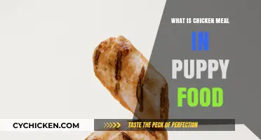 Understanding Chicken Meal in Puppy Food: Benefits and Importance