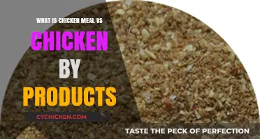 Chicken Meal vs. By-Products: Understanding Pet Food Ingredients