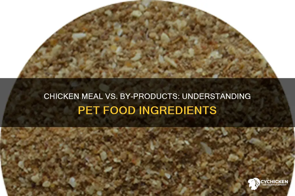 what is chicken meal vs chicken by products