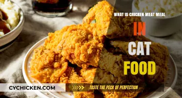 Understanding Chicken Meat Meal in Cat Food: Benefits and Uses