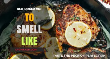 Understanding the Fresh Aroma of Chicken Meat: What's Normal?