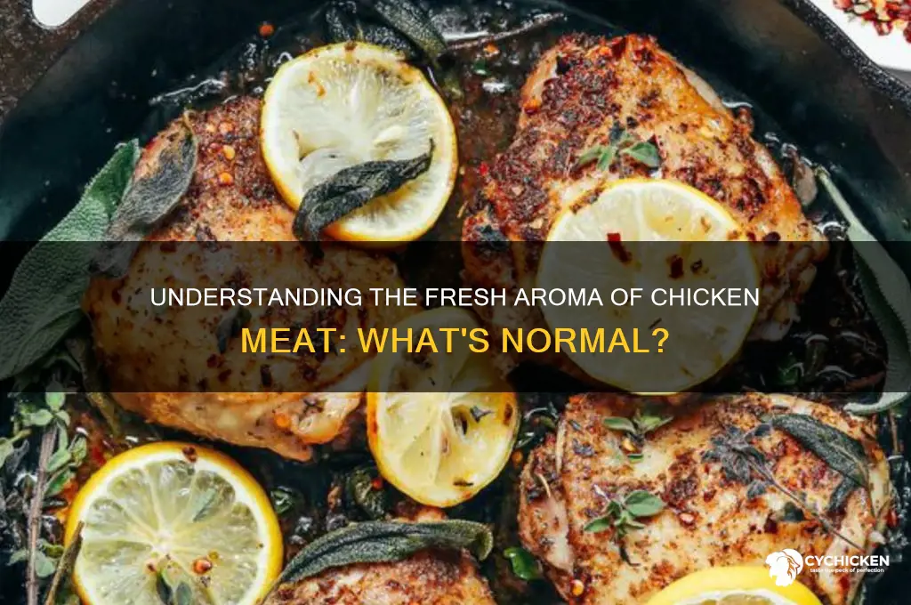 what is chicken meat to smell like