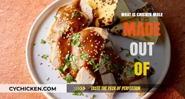 Discover the Rich Ingredients Behind Authentic Chicken Mole Recipe