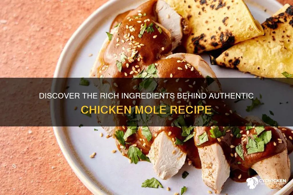 what is chicken mole made out of