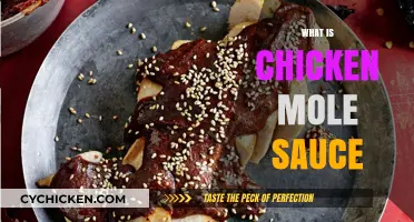 Discover the Rich Flavors of Authentic Chicken Mole Sauce