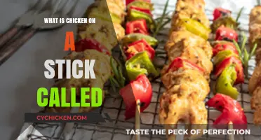 Discover the Global Names for Chicken on a Stick: A Culinary Journey