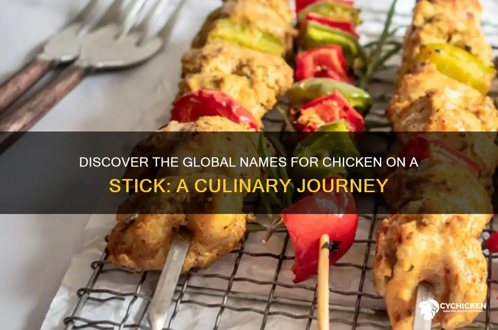 what is chicken on a stick called