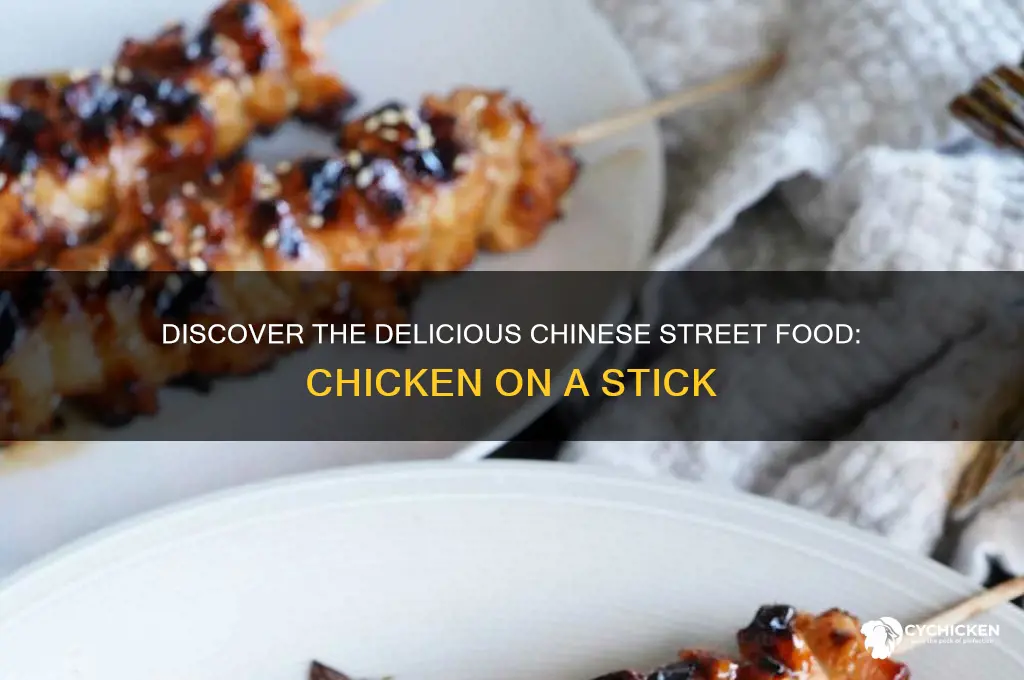 what is chicken on a stick chinese