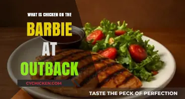 Discover Outback's Iconic Chicken on the Barbie Dish Explained