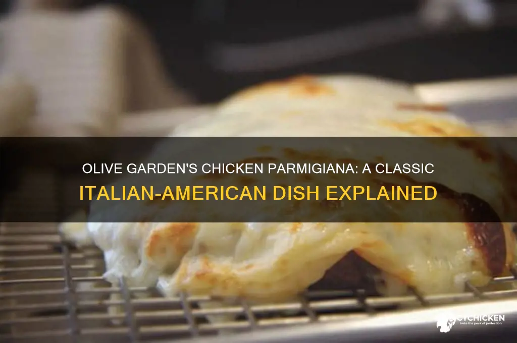 what is chicken parmigiana at olive garden