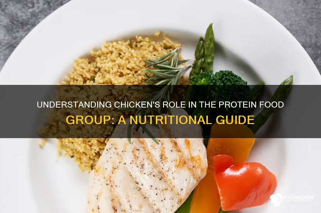 what is chicken part of the food group