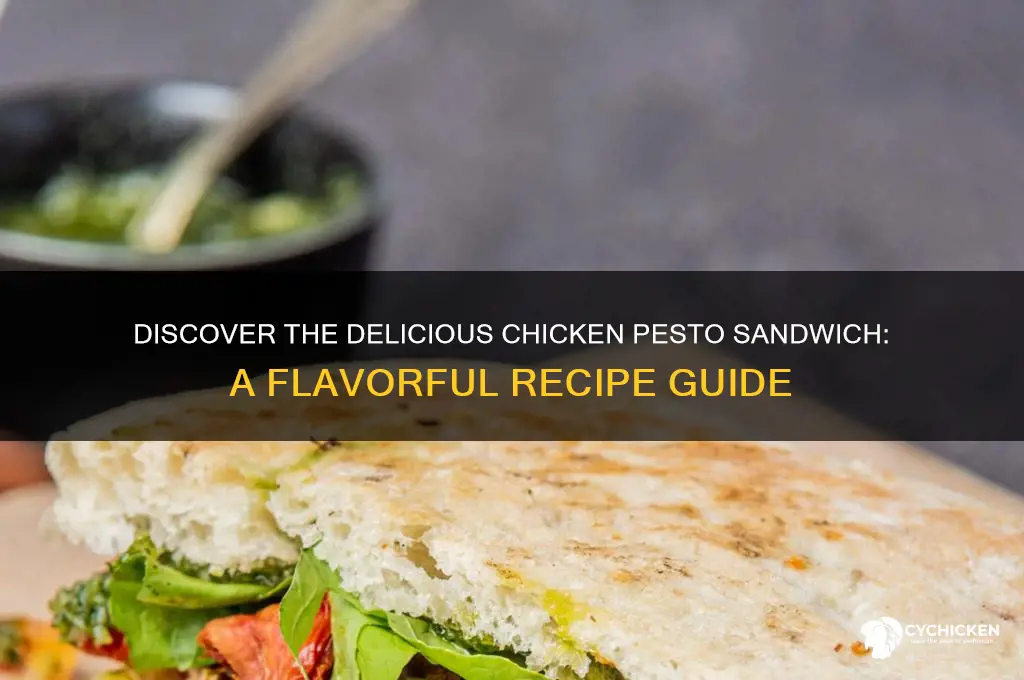 what is chicken pesto sandwich