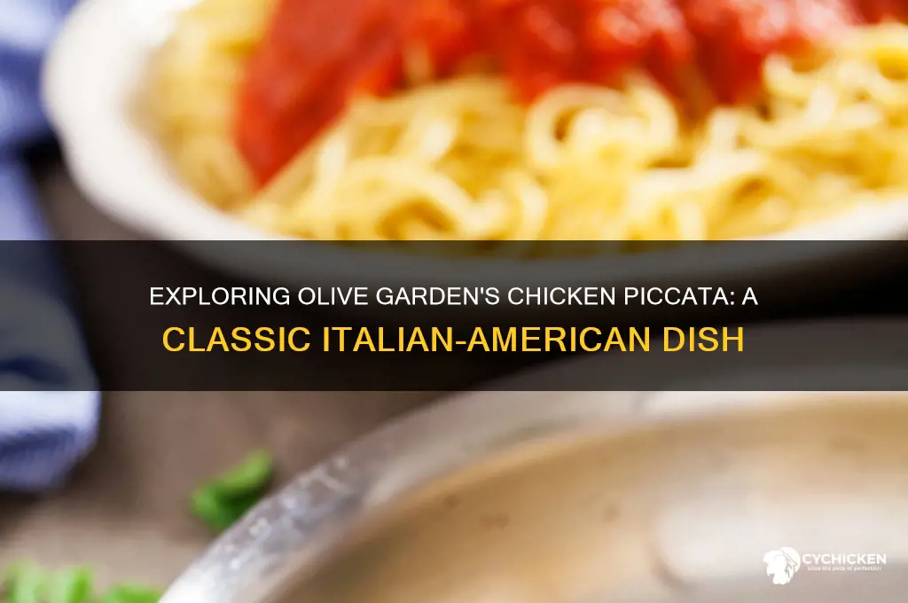 what is chicken piccata at olive garden