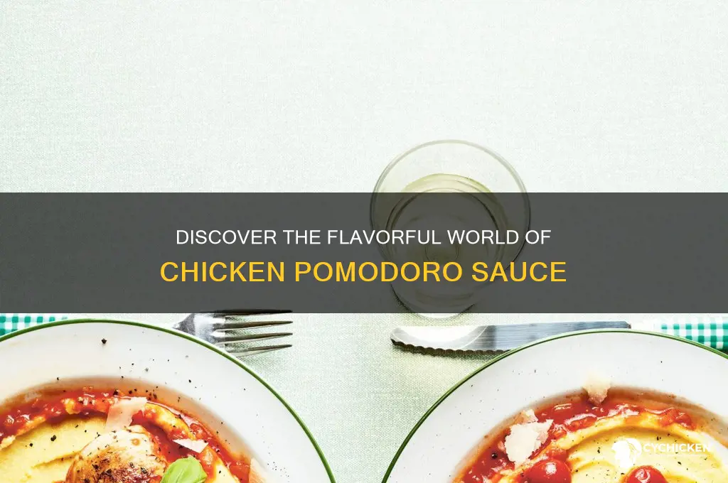 what is chicken pomodoro sauce