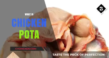 Exploring the Origins and Varieties of Chicken Pota