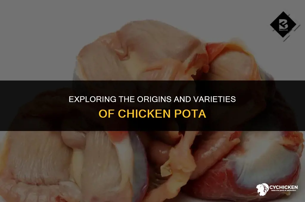 what is chicken pota