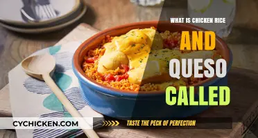 Exploring the Fusion Dish: Chicken Rice and Queso's Unique Name