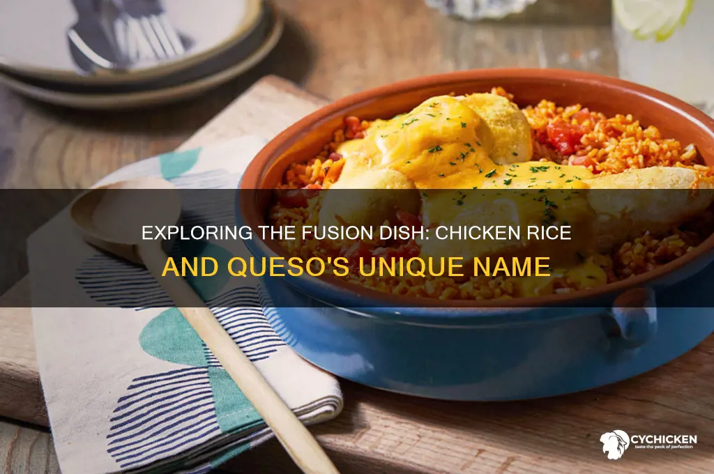 what is chicken rice and queso called
