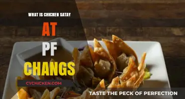 Discover PF Chang's Chicken Satay: A Flavorful Skewered Delight