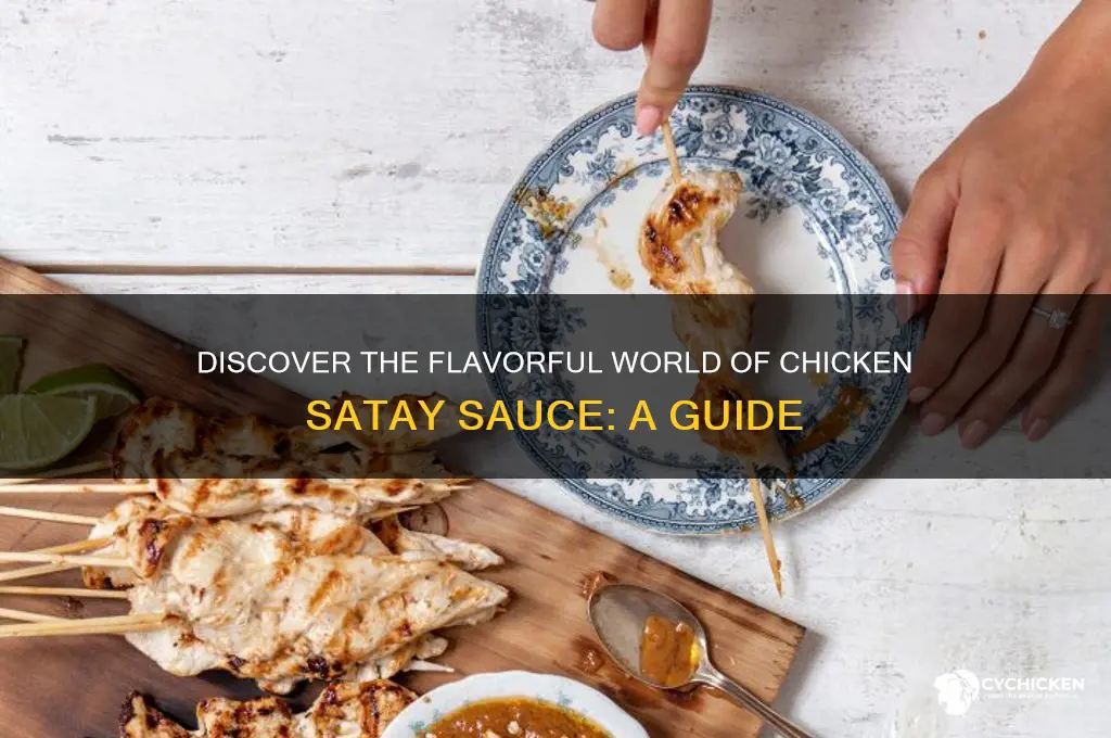 what is chicken satay sauce