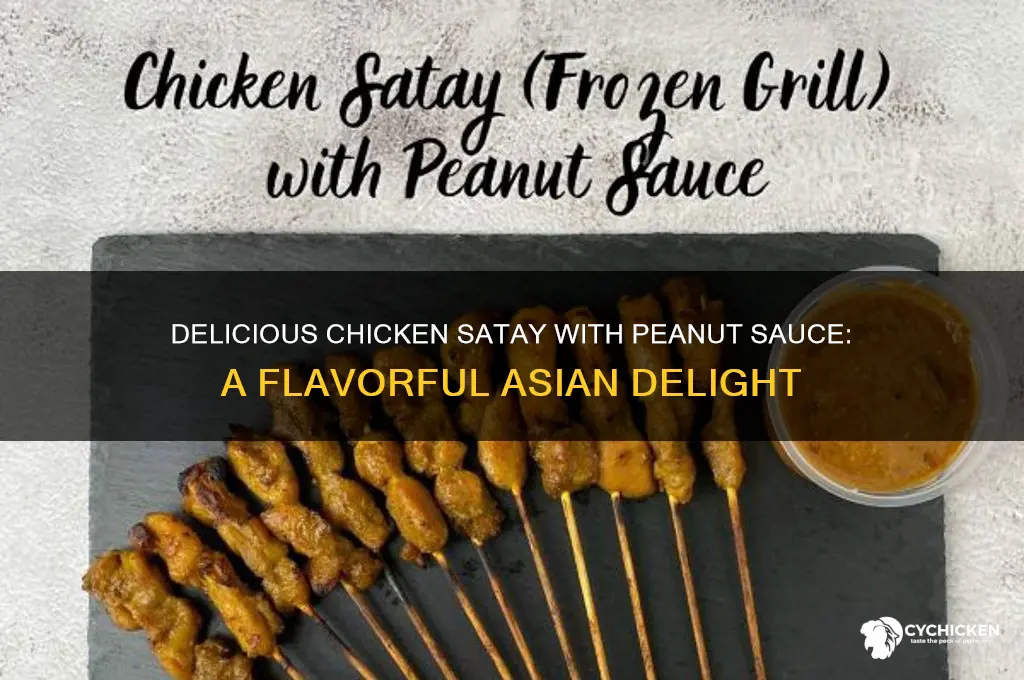 what is chicken satay with peanut sauce