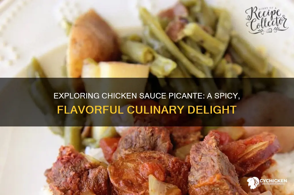 what is chicken sauce picante