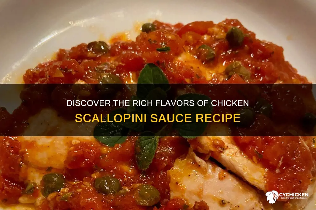 what is chicken scallopini sauce