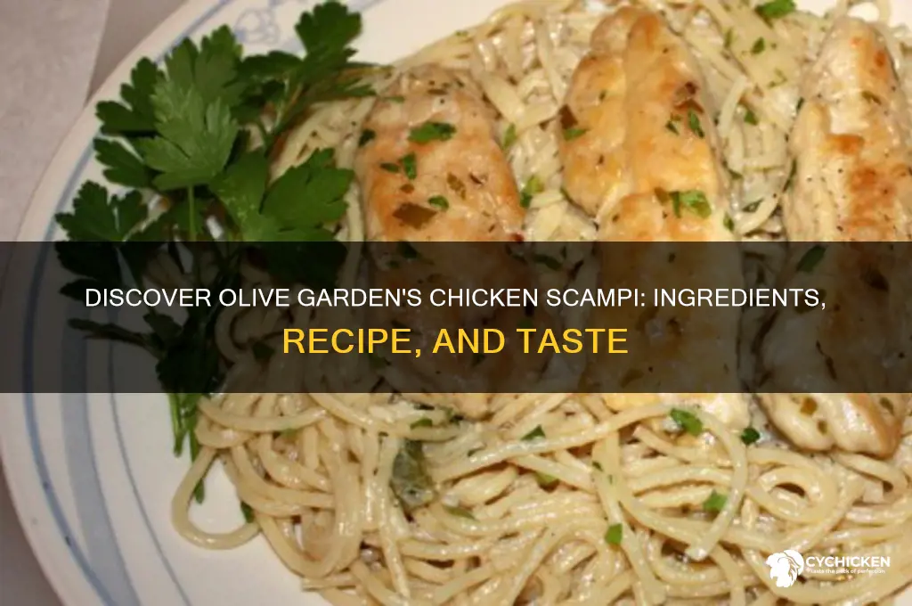 what is chicken scampi at olive garden