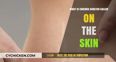 Understanding Chicken Scratch: What Those Skin Marks Are Really Called