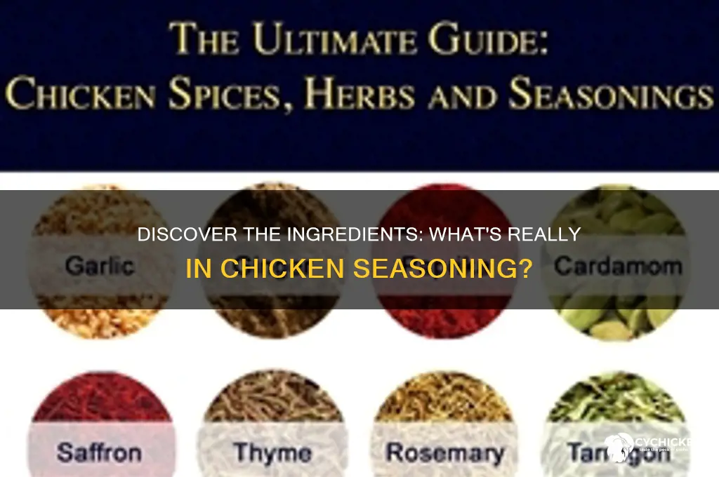 what is chicken seasoning made out of