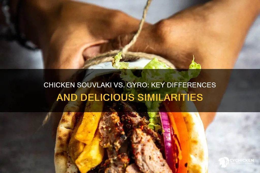 what is chicken souvlaki vs chicken gyro