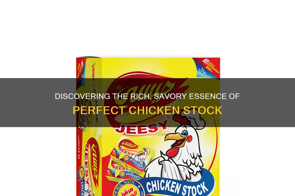 what is chicken stock supposed to taste like