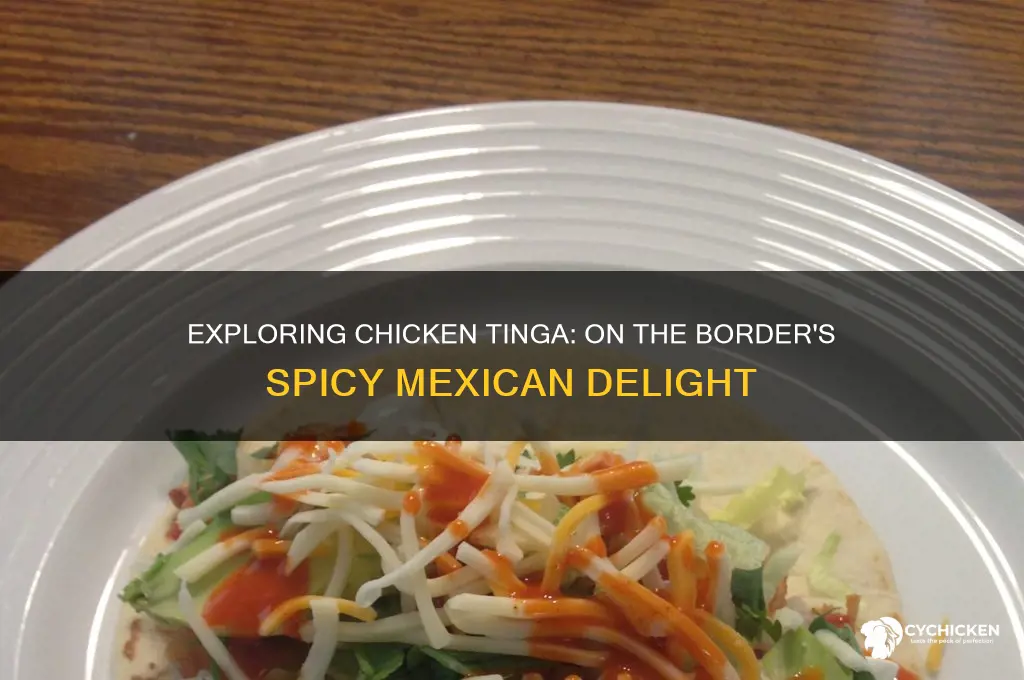 what is chicken tinga at on the border