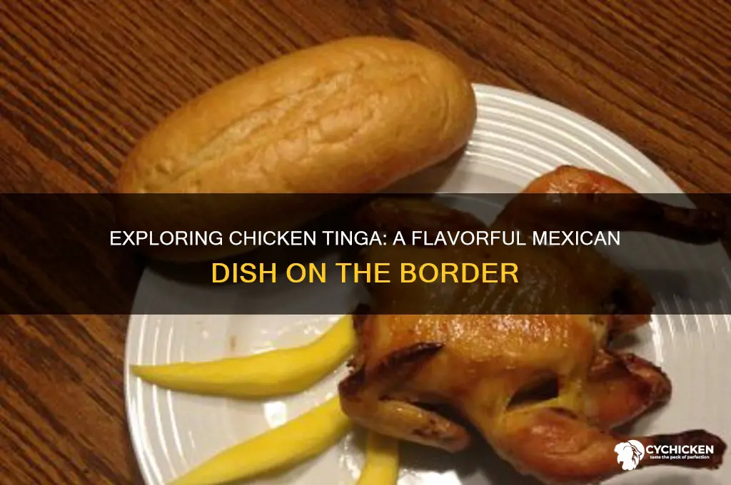 what is chicken tinga on the border