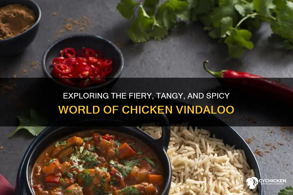 what is chicken vindaloo like