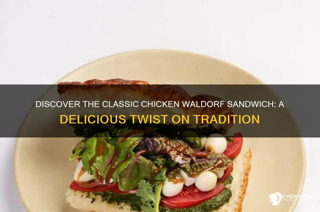 what is chicken waldorf sandwich