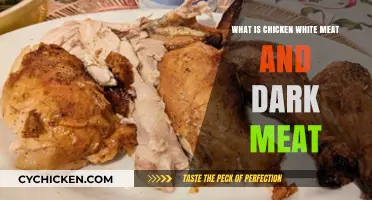 Understanding Chicken White and Dark Meat: Differences, Benefits, and Uses