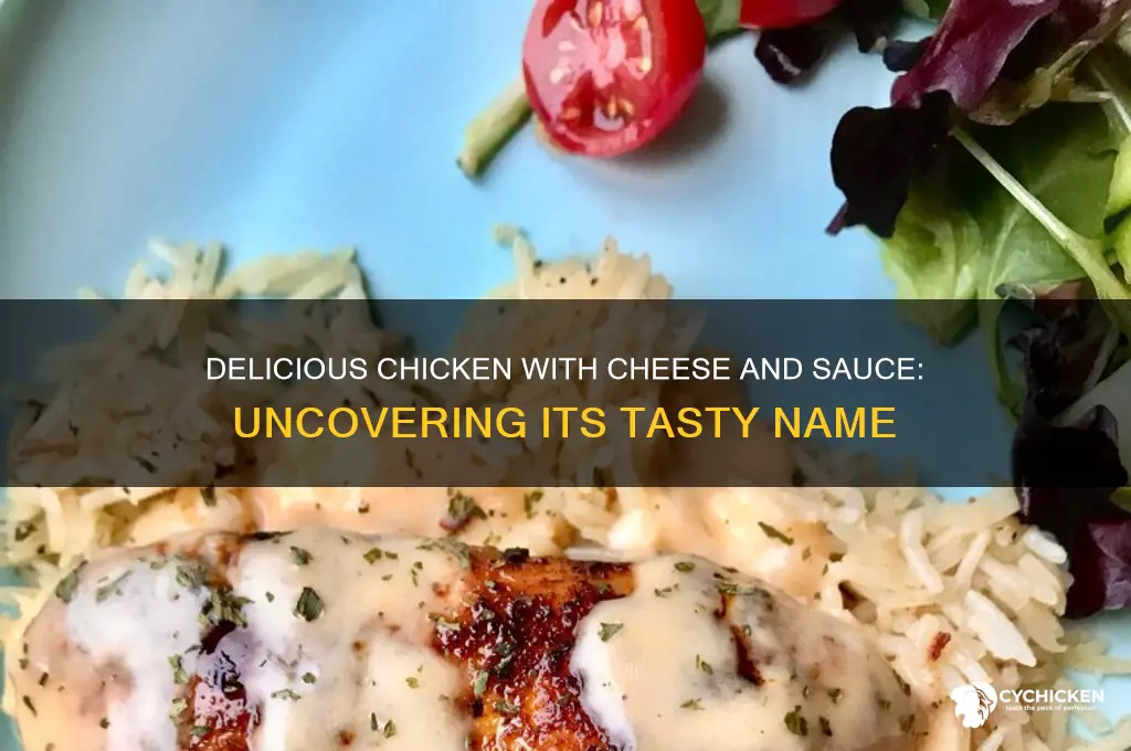what is chicken with cheese and sauce called