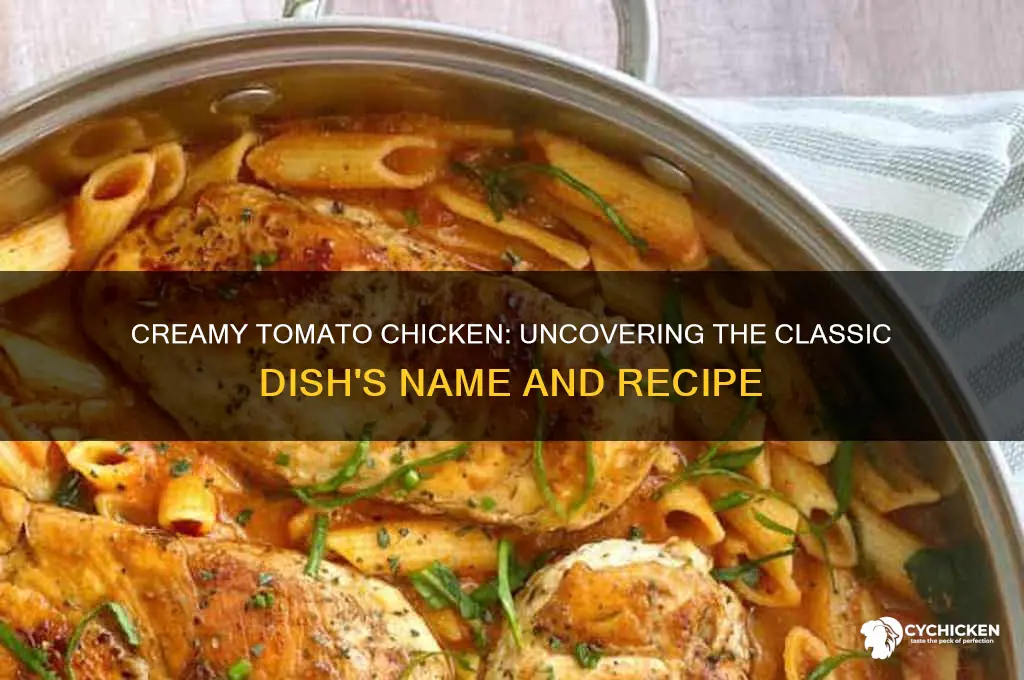 what is chicken with creamed tomato sauce called