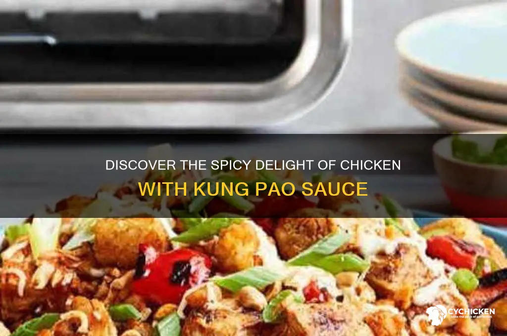 what is chicken with kung pao sauce