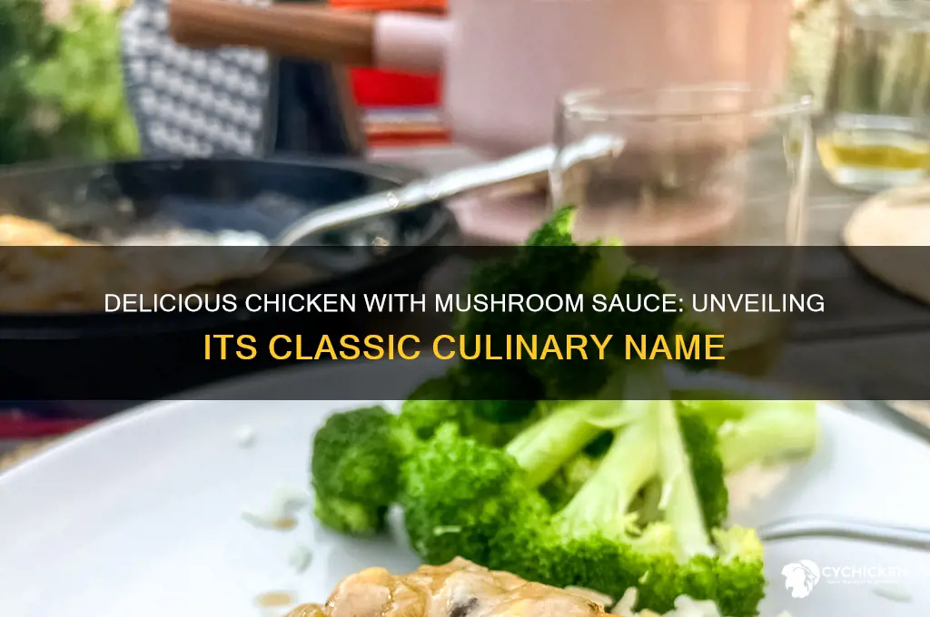 what is chicken with mushroom sauce called