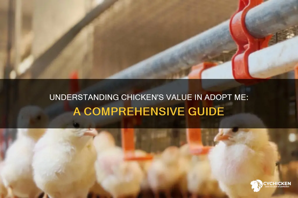 what is chicken worth in adopt me