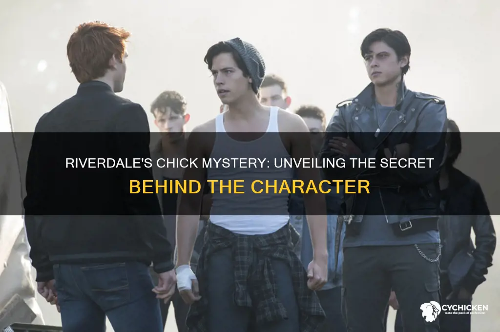 what is chick