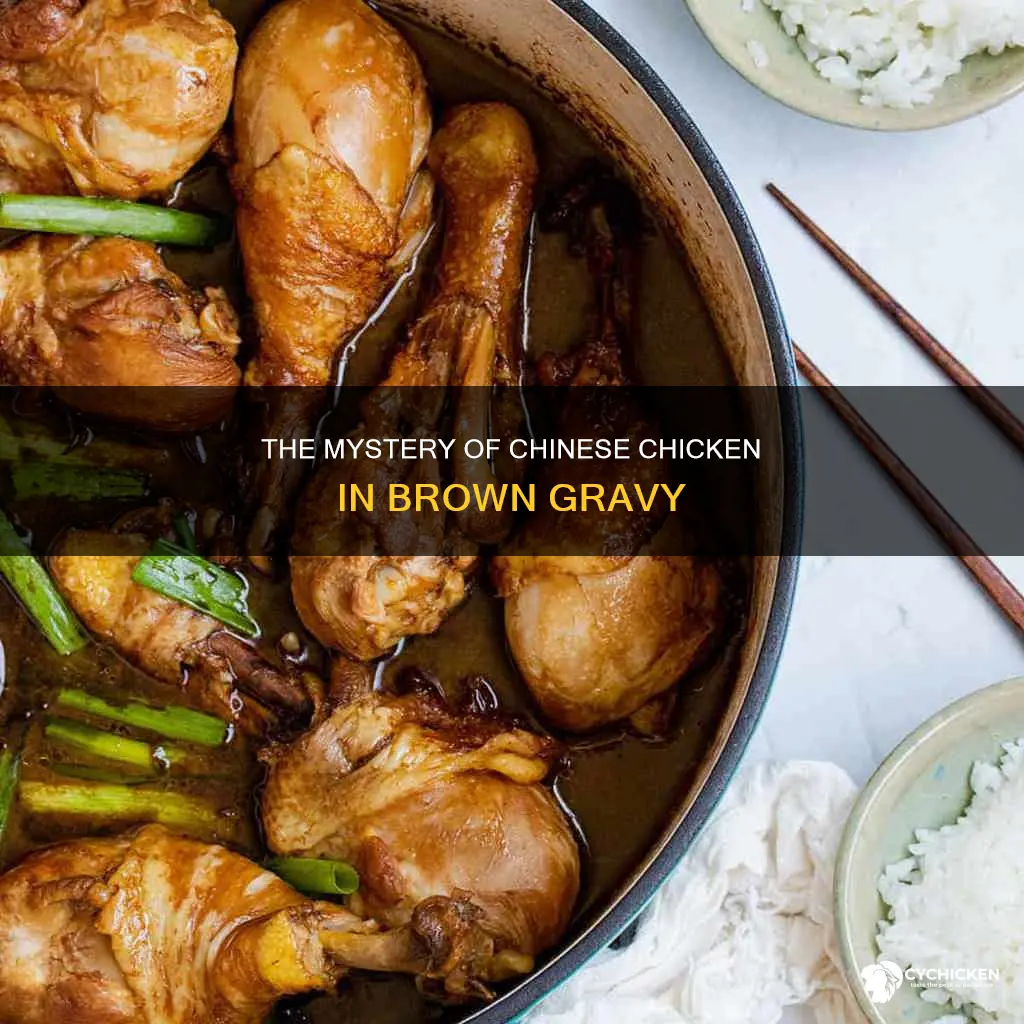 what is chinese chicken i n a brown gravy