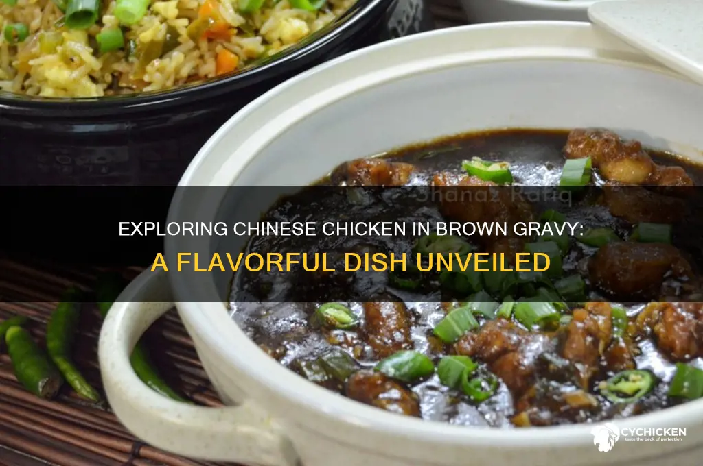 what is chinese chicken i n brown gravy
