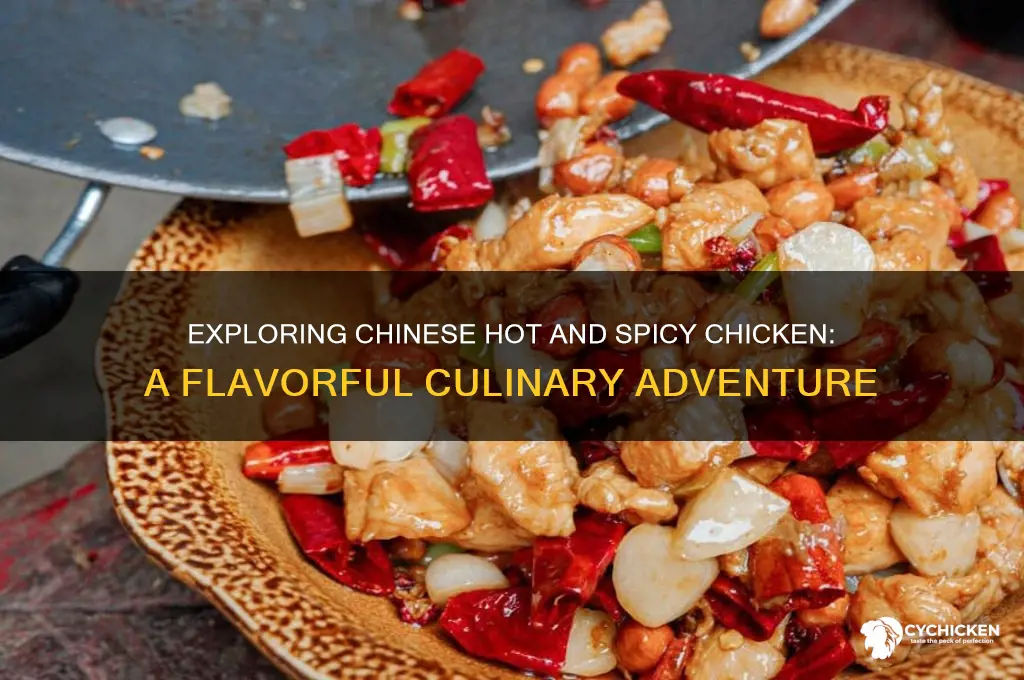 what is chinese hot and spicy chicken