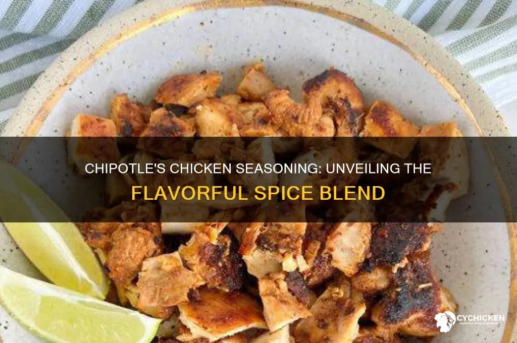 what is chipotle